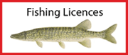 Fishing Licences
